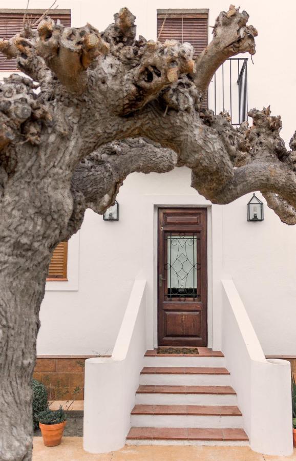 Rebesnets De Bofranch Villa Deltebre Exterior photo